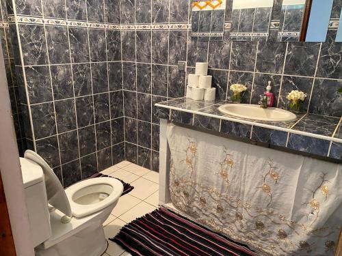 een badkamer met een toilet en een wastafel bij HEIIKIANI Sweet Home in Nuku Hiva