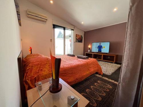 ein Schlafzimmer mit einem Bett und einem TV. in der Unterkunft Charmant Studio avec jardin in Saint-Denis