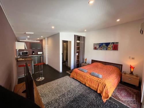 ein großes Schlafzimmer mit einem Bett und einer Küche in der Unterkunft Charmant Studio avec jardin in Saint-Denis