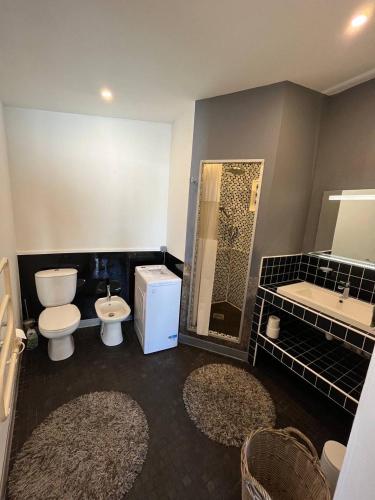 a bathroom with two toilets and a sink and a shower at Charmant Studio avec jardin in Saint-Denis