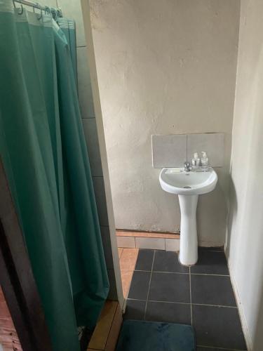 a bathroom with a sink and a green shower curtain at Phola at my place in Durban