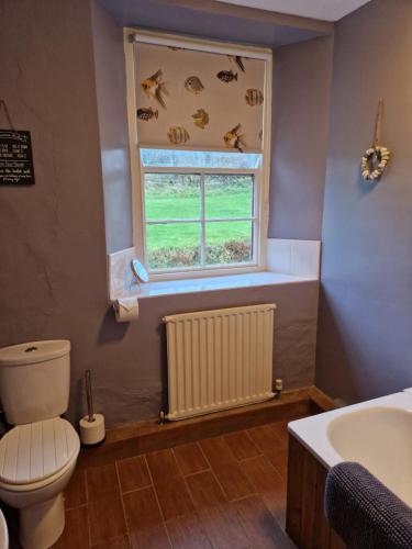 a bathroom with a toilet and a window and a radiator at Rainors farm cottage in Gosforth