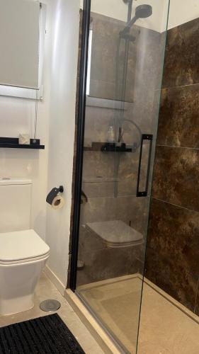 a bathroom with a shower and a toilet at Gollum-Goretti House in Mairena del Aljarafe