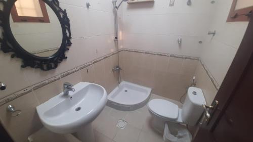 La salle de bains est pourvue d'un lavabo, de toilettes et d'un miroir. dans l'établissement العين الهيلي مصباح بيت 3, à Al-Aïn