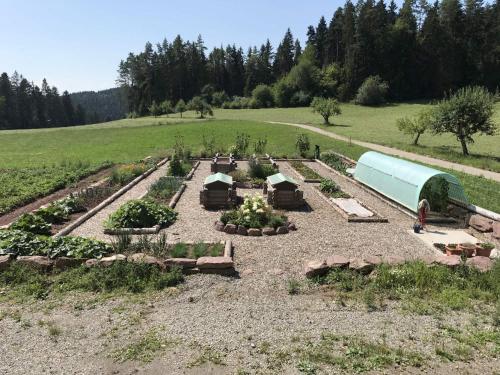 a garden with vegetables and plants in a field at Blockhaus Almhütte Wiesenglück in Glatten