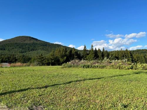 a field of green grass with a mountain in the background at Guest House Koriyama in Koriyama