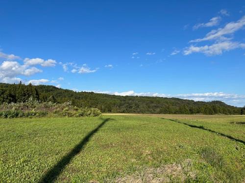 a field of green grass with trees in the background at Guest House Koriyama in Koriyama