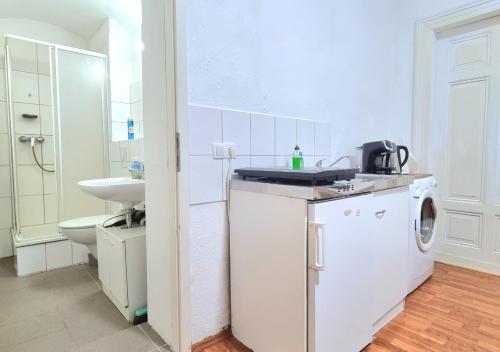 a white kitchen with a sink and a washing machine at Studio Apartement in Halle in Halle an der Saale