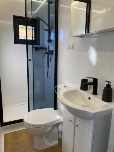 a bathroom with a toilet and a sink and a shower at Hausboot - Meeresbrise in Heiligenhafen