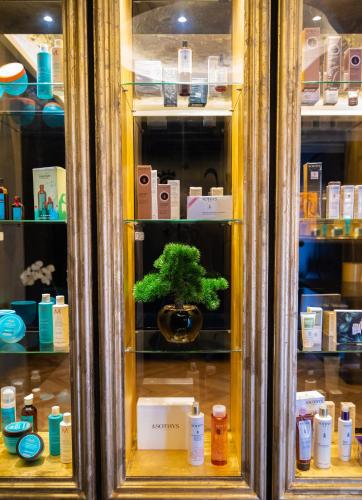 a glass cabinet with a plant inside of it at Arka Art Hotel in Tirana