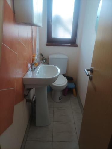 La salle de bains est pourvue de toilettes blanches et d'un lavabo. dans l'établissement Apartament Ana Cetate, à Alba Iulia