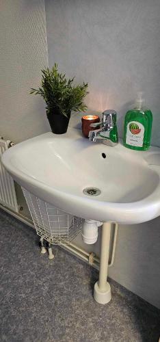 a white sink with a plant on top of it at Näsbygården in Storvik