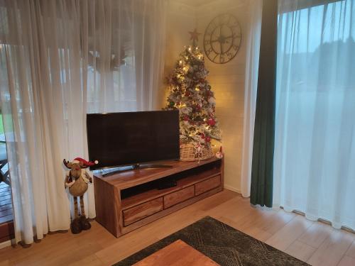 a living room with a christmas tree and a television at Le Mont Céleste dogs friendly in Nonceveux