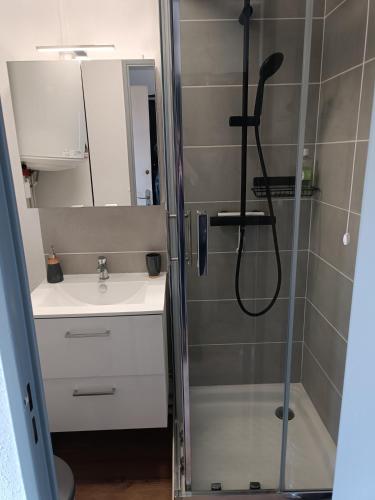 une salle de bain avec douche et lavabo dans l'établissement Studio proche du CHU, à Nîmes