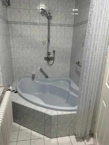 a bath tub in a bathroom with a shower at Urlaub in Schlossnähe in Artstetten