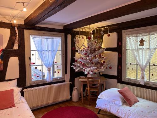 Gîte Au Fil Du Temps في كولمار: غرفة نوم مع شجرة عيد الميلاد و نافذتين
