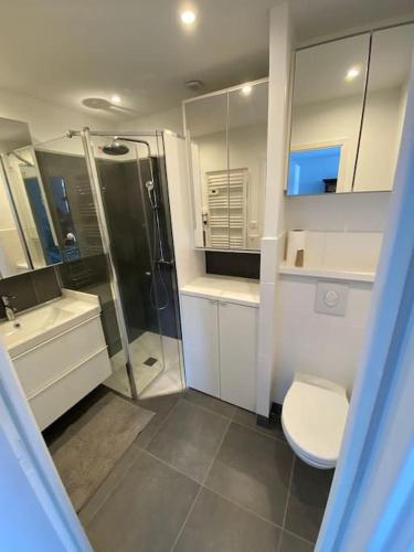 une salle de bain blanche avec douche et toilettes dans l'établissement Charmant 50m2 Clermont-ferrand vue Puy-de-Dôme, à Clermont-Ferrand