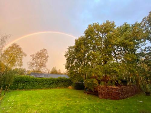 a rainbow in the sky over a yard at Kabana - eco forest suite in Wingene