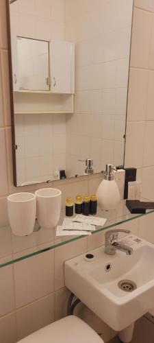 a bathroom with a sink and a mirror and a toilet at Hostel 4 in Šiauliai