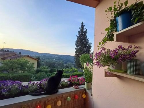 un chat noir assis sur un rebord de fenêtre avec des fleurs dans l'établissement Noel's Room, à Fiesole