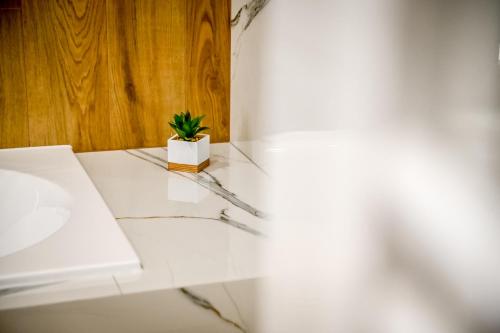a potted plant sitting on top of a counter at Magiczny Domek in Białka Tatrzanska