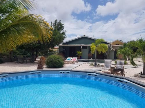 Πισίνα στο ή κοντά στο Kas Oleifi, een oase van rust