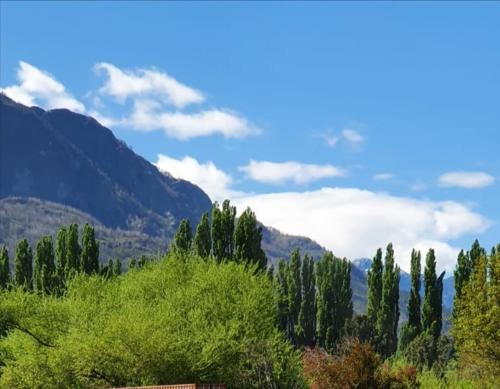 a forest of trees with mountains in the background at Rincón Bonito in El Hoyo