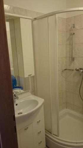 Et badeværelse på Apartment Velcic