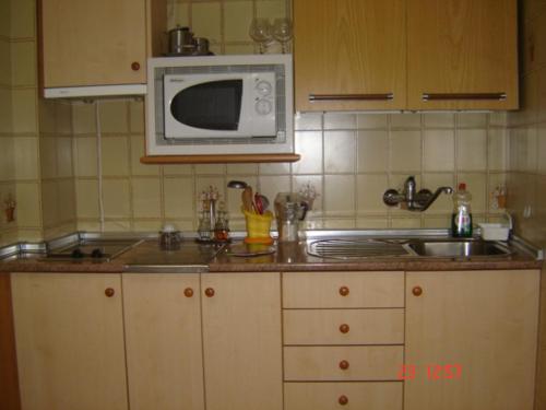 eine Küche mit einer Spüle und einer Mikrowelle in der Unterkunft Casa Rural El Nido in Solana de ávila