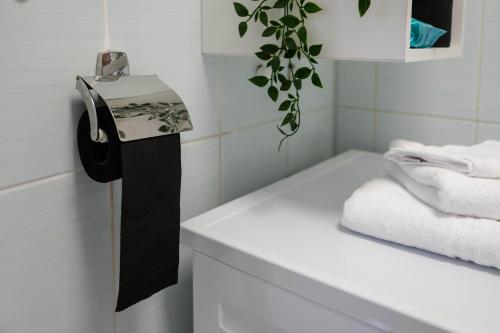 a bathroom with a towel rack and a white sink at Exclusive Apartment in Giurgiu