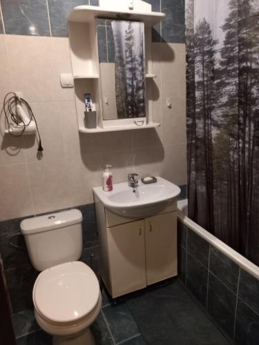La salle de bains est pourvue de toilettes, d'un lavabo et d'un miroir. dans l'établissement 2Anna Apartments, à Surčin