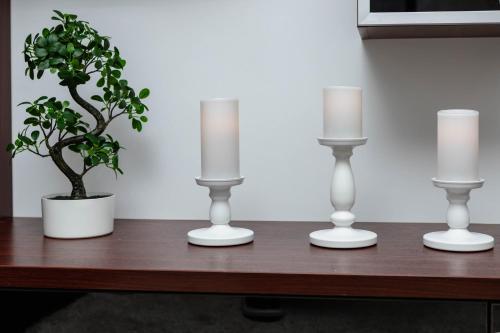 three candles and a potted plant on a wooden table at Exclusive Apartment in Giurgiu