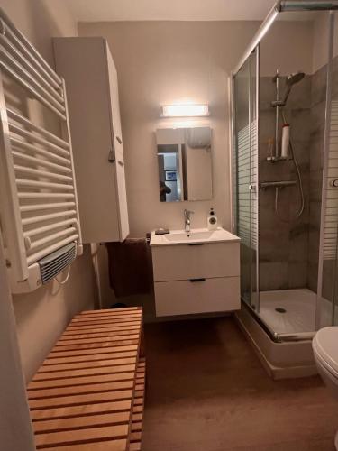 Un baño con lavabo y ducha en Studio rénové au pied des pistes, en Font-Romeu
