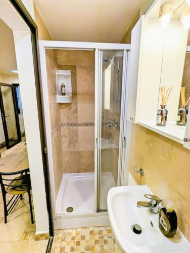 a bathroom with a shower and a white sink at Maisonette Balcesco in Braşov