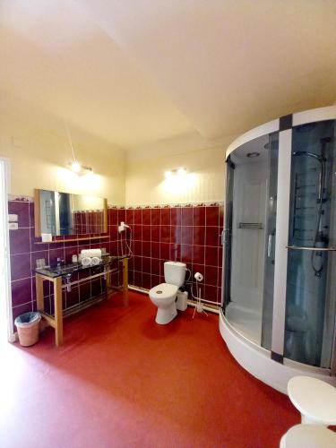 une salle de bain avec toilettes et douche en verre dans l'établissement Hotel Restaurant Le Costabonne, à Prats-de-Mollo-la-Preste