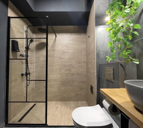 a bathroom with a shower with a toilet and a sink at 1320 Apartments in Sibiu