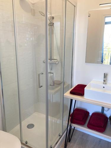 une salle de bain avec douche et lavabo dans l'établissement La Belle Consigne - Appartements Dinan Centre Gare, à Dinan