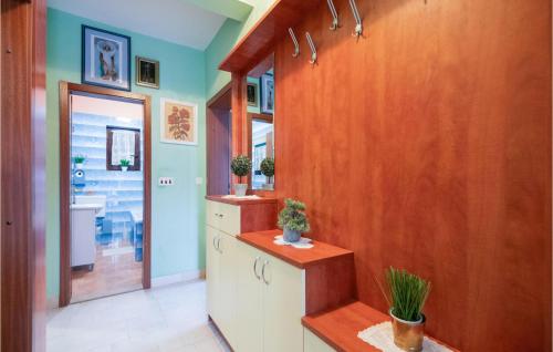 Łazienka z niebieskimi ścianami i drewnianą ścianą w obiekcie Awesome Home In Mijaca With Kitchen 