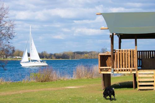 a dog walking in the grass next to a sail boat at Recreatiepark Riverside in Appeltern