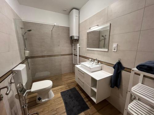 łazienka z umywalką, toaletą i lustrem w obiekcie Vörösmarty apartmanház w mieście Makó
