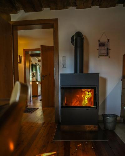a fireplace in a living room with a fire at Die Steirakeischn in Großklein
