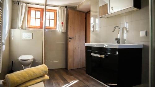 a bathroom with a sink and a toilet at Die Steirakeischn in Großklein