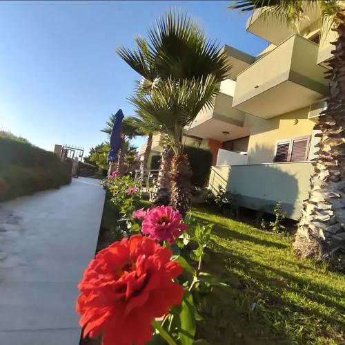 a house with flowers on the side of a sidewalk at Hotel Jaho in Kavajë