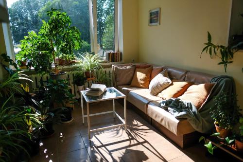 salon z kanapą i mnóstwem roślin w obiekcie Hostel Nele w mieście Jõhvi