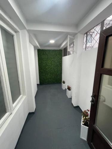 Matt Studio