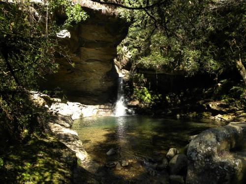 a waterfall in a pool of water in a forest at Misty peaks Cloudlands in Bergview
