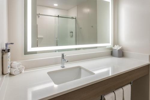 a bathroom with a white sink and a mirror at Holiday Inn Express Hotel & Suites Vineland Millville, an IHG Hotel in Vineland