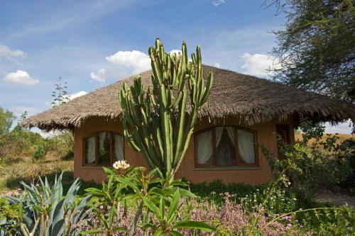 a house with a cactus in front of it at Kia Lodge in Arusha
