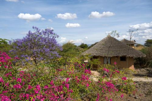 a small hut with pink flowers in front of it at Kia Lodge in Arusha
