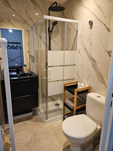 une salle de bain avec une douche, des toilettes et un lavabo dans l'établissement L'oasis d'Anatole, à Oyonnax